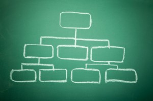 Blank Organization Chart AND Blackboard