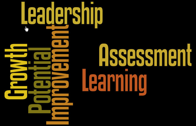 Leadership Assessment Growth
