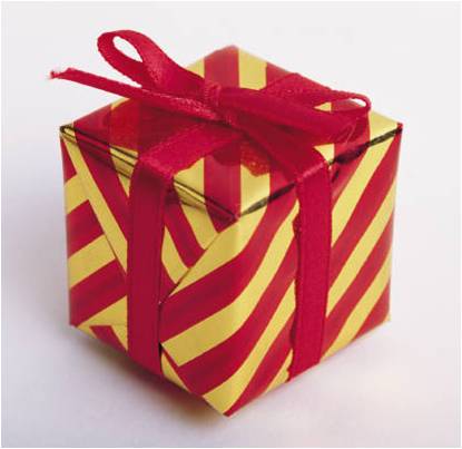 gift-wrapped box in red and gold