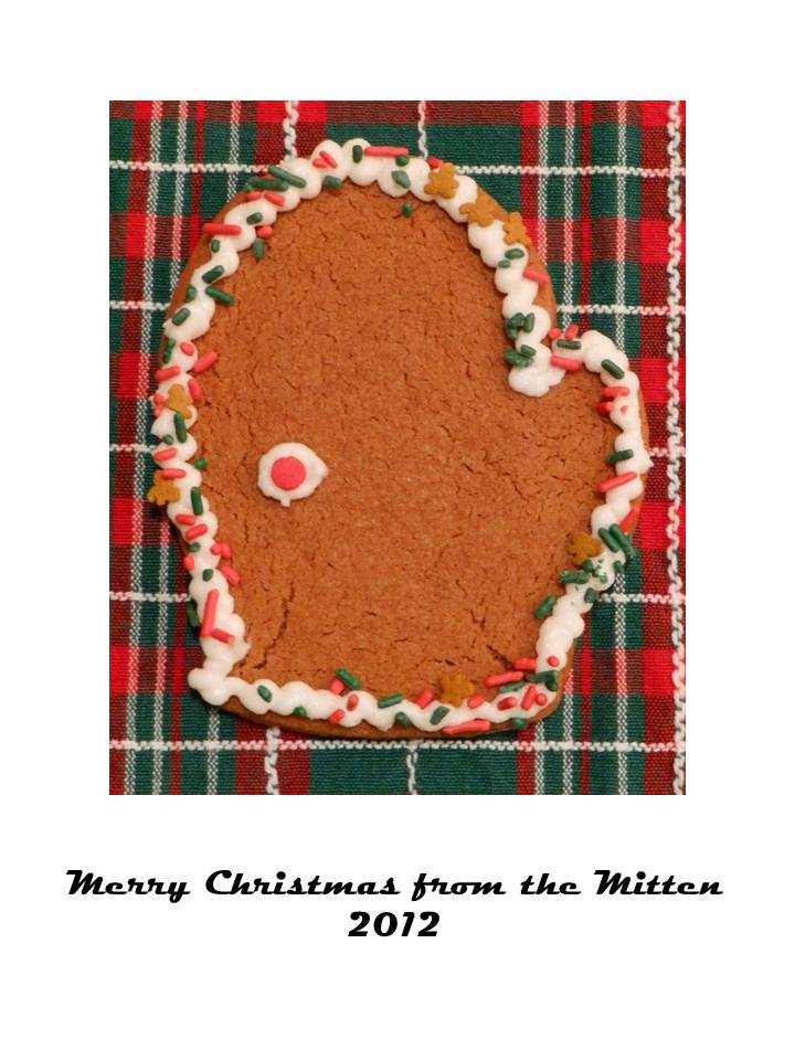 Merry Christmas from the Mitten