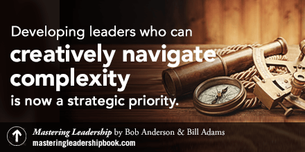 mastering leadership navigating complexity